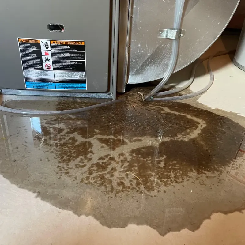 Appliance Leak Cleanup in Hall County, NE